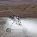 Edukasi Lingkungan: Mengatasi Masalah Sampah di Desa Ciracas