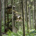 Implementasi Program Edukasi Lingkungan di Sekolah-sekolah Desa Ciracas